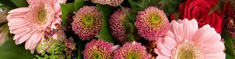 Buket med farverige blomster, herunder lyserøde gerberaer, røde roser, og lilla krysantemum. En orkidé med mønstre pryder også arrangementet. Blomsterne er elegant arrangeret med grønt som baggrund.